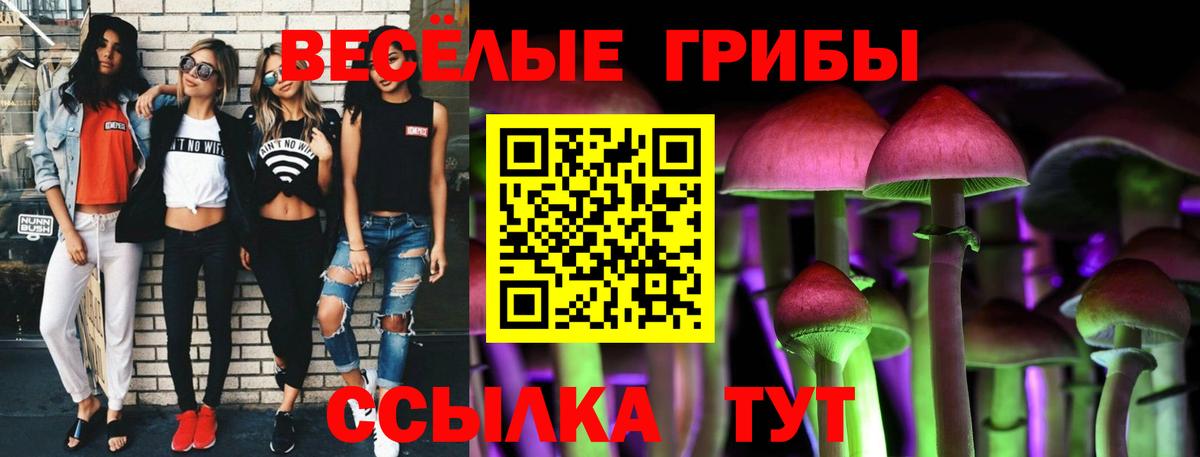Галлюциногенные грибы прущие грибы Чебаркуль