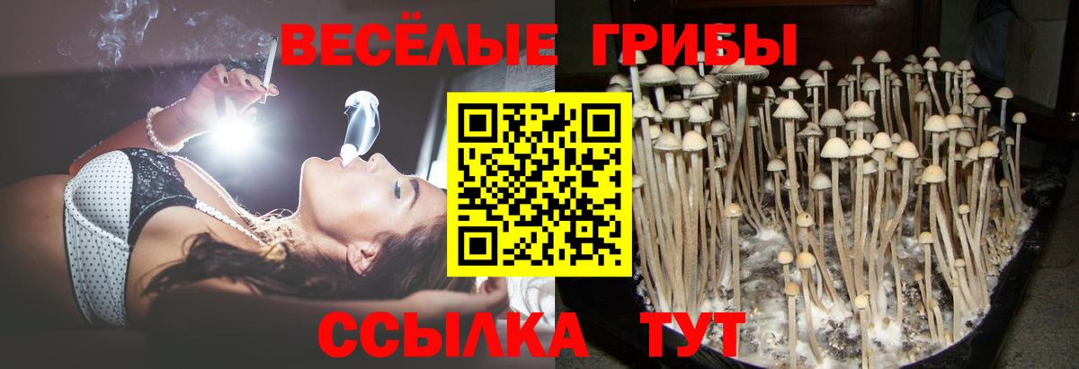 Галлюциногенные грибы GOLDEN TEACHER  Вход с VPN  Чебаркуль 